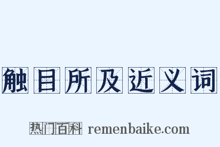 触目所及近义词是什么意思的图片